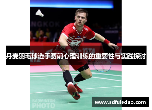 丹麦羽毛球选手赛前心理训练的重要性与实践探讨