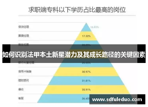 如何识别法甲本土新星潜力及其成长路径的关键因素