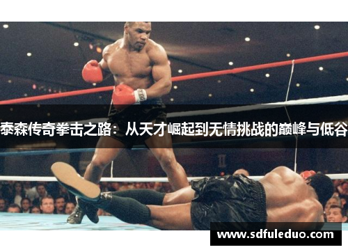 泰森传奇拳击之路：从天才崛起到无情挑战的巅峰与低谷