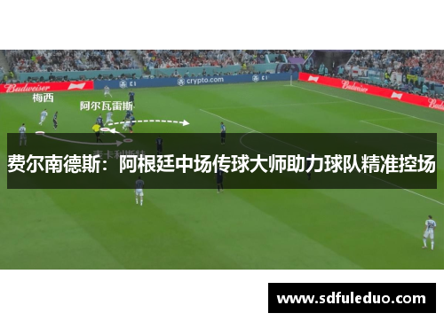 费尔南德斯：阿根廷中场传球大师助力球队精准控场